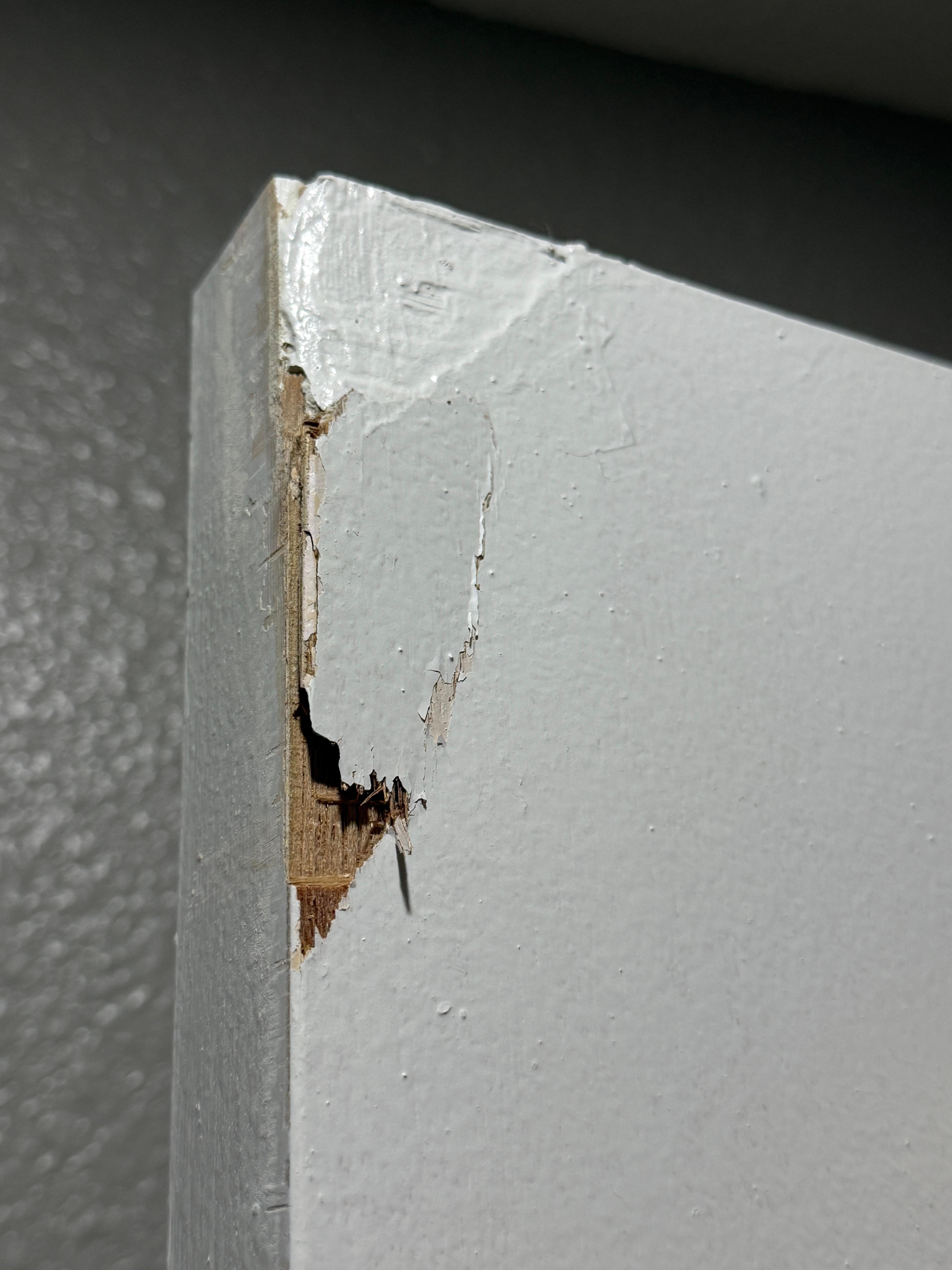 Bathroom door already damaged. 