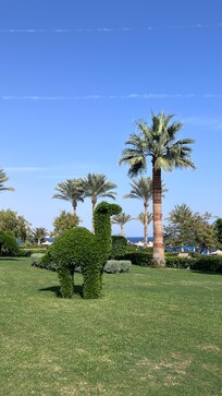 All kinds of topiary around the grounds