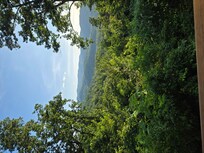 Morning view