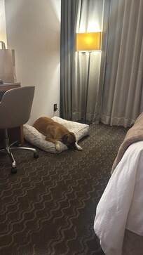 cómodo y tranquilo para todos