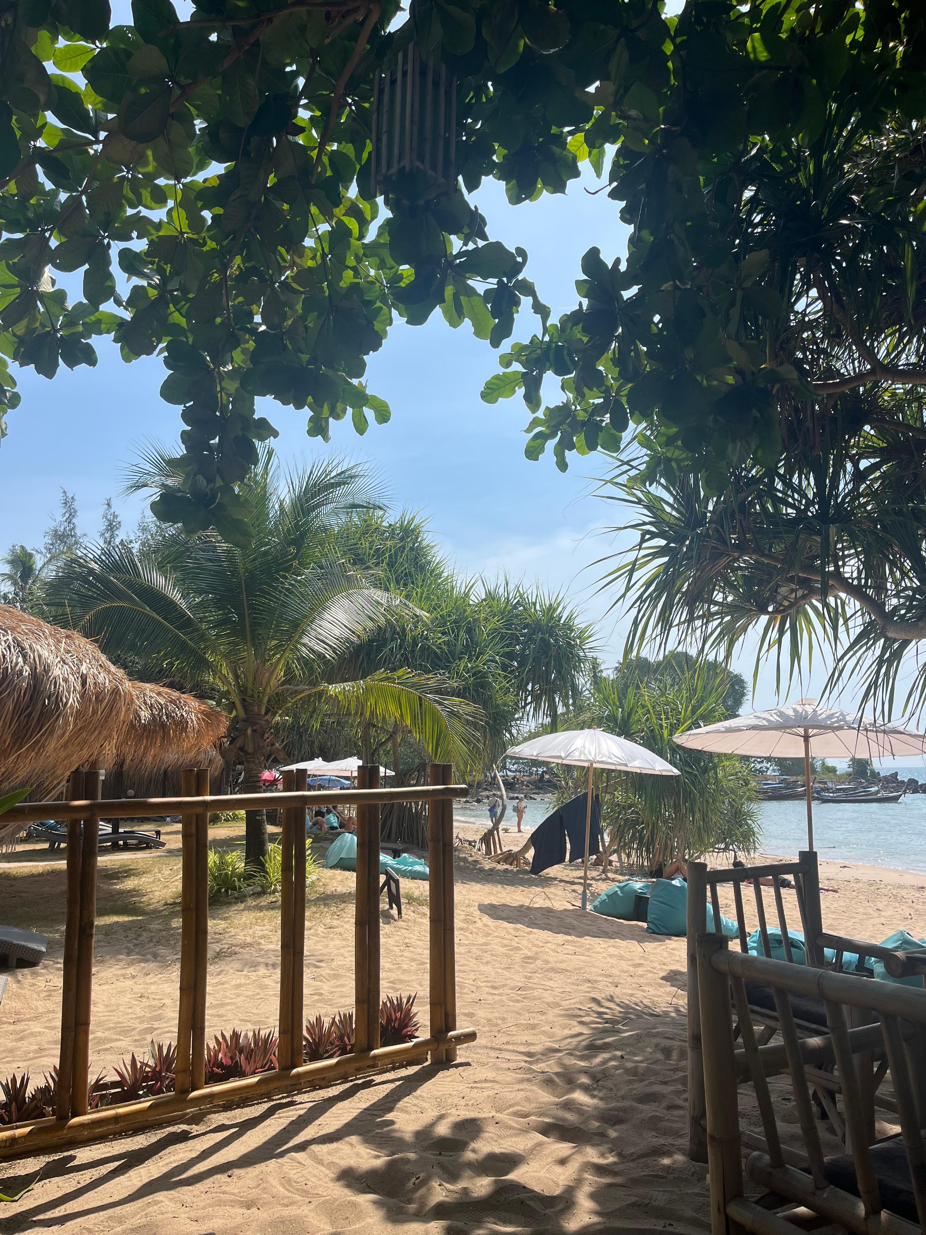 Vy från restaurangen