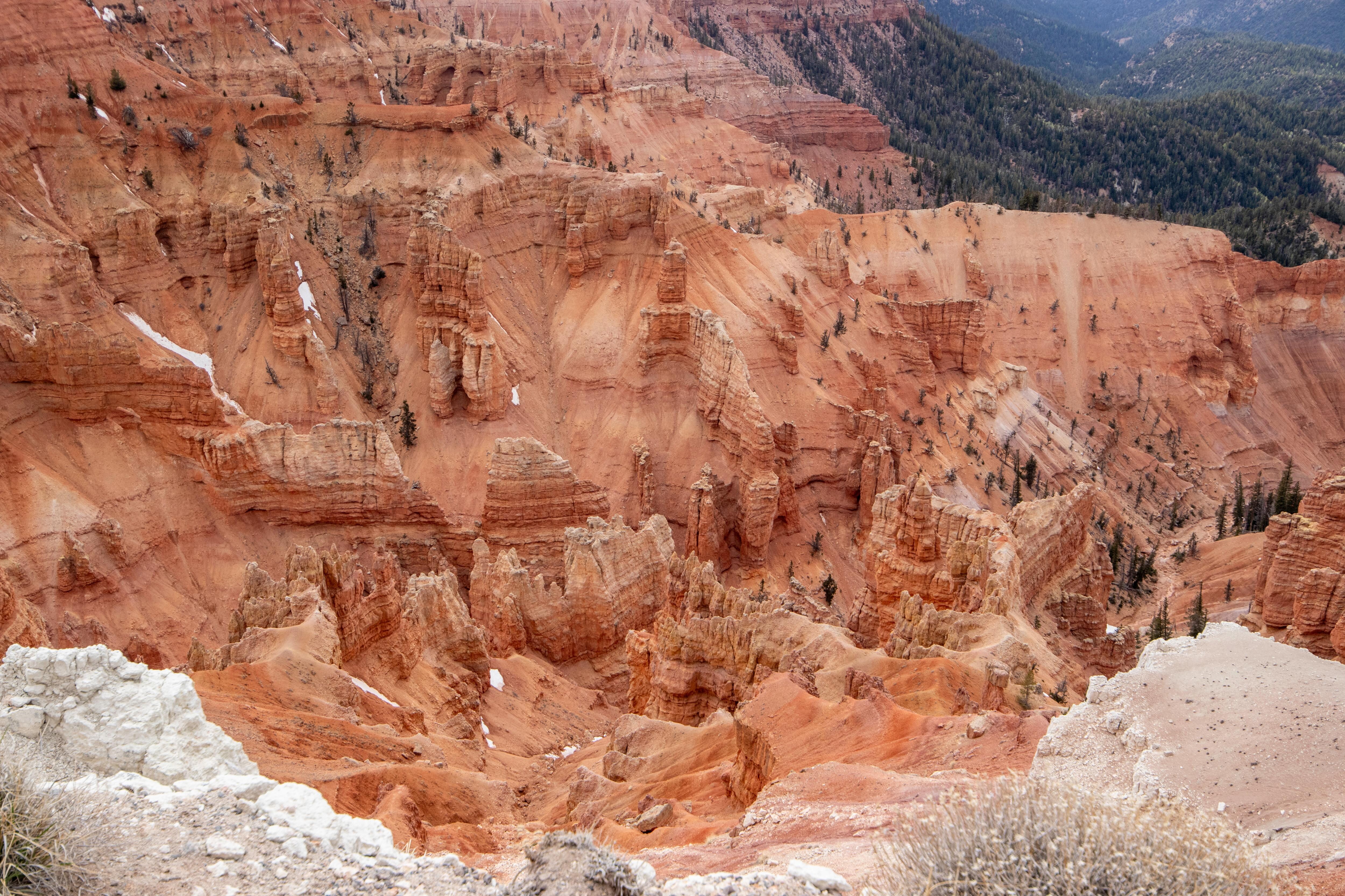 Cedar Breaks 10,350 feet elevation