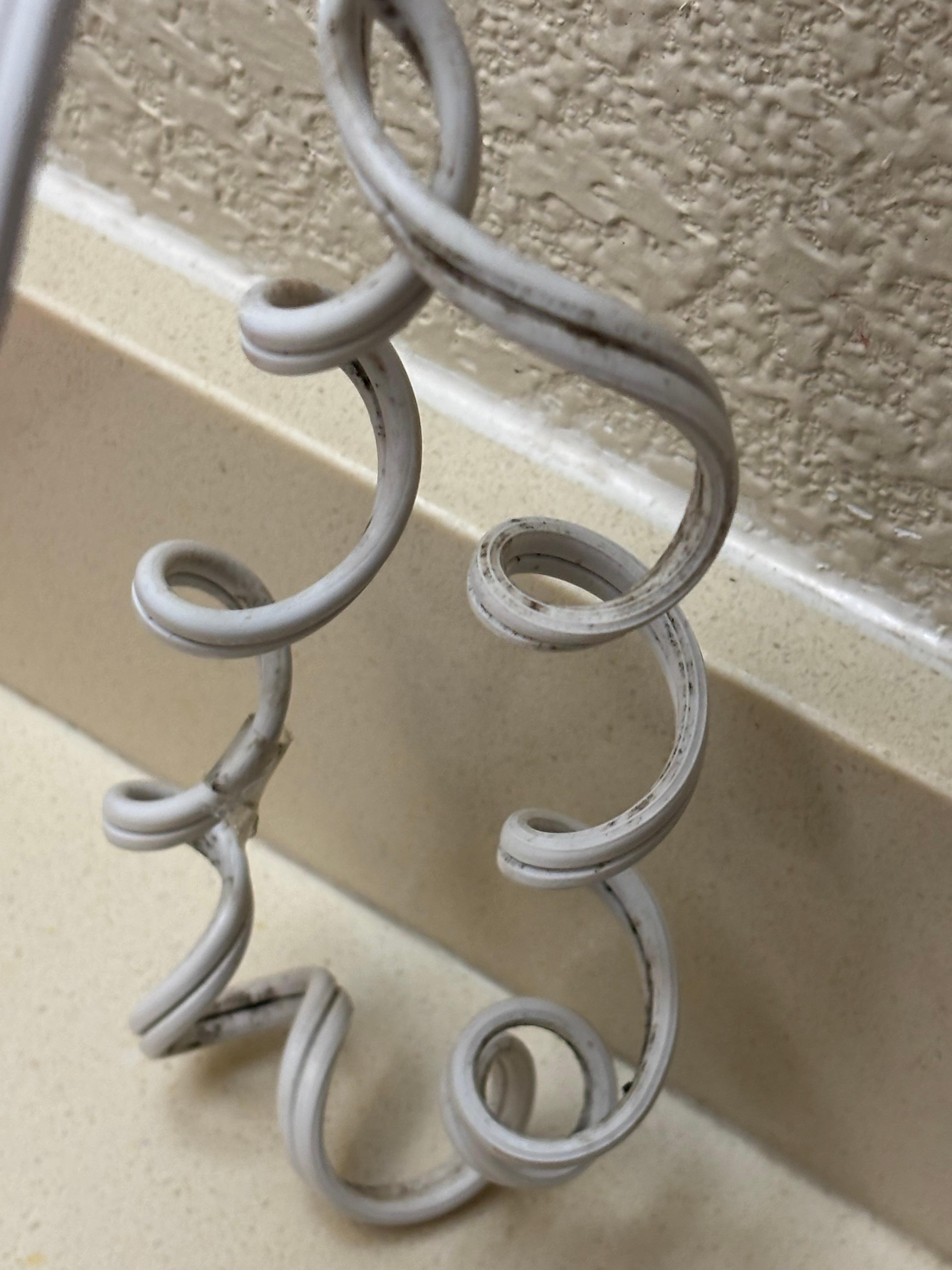 Black mold☠️🏴‍☠️