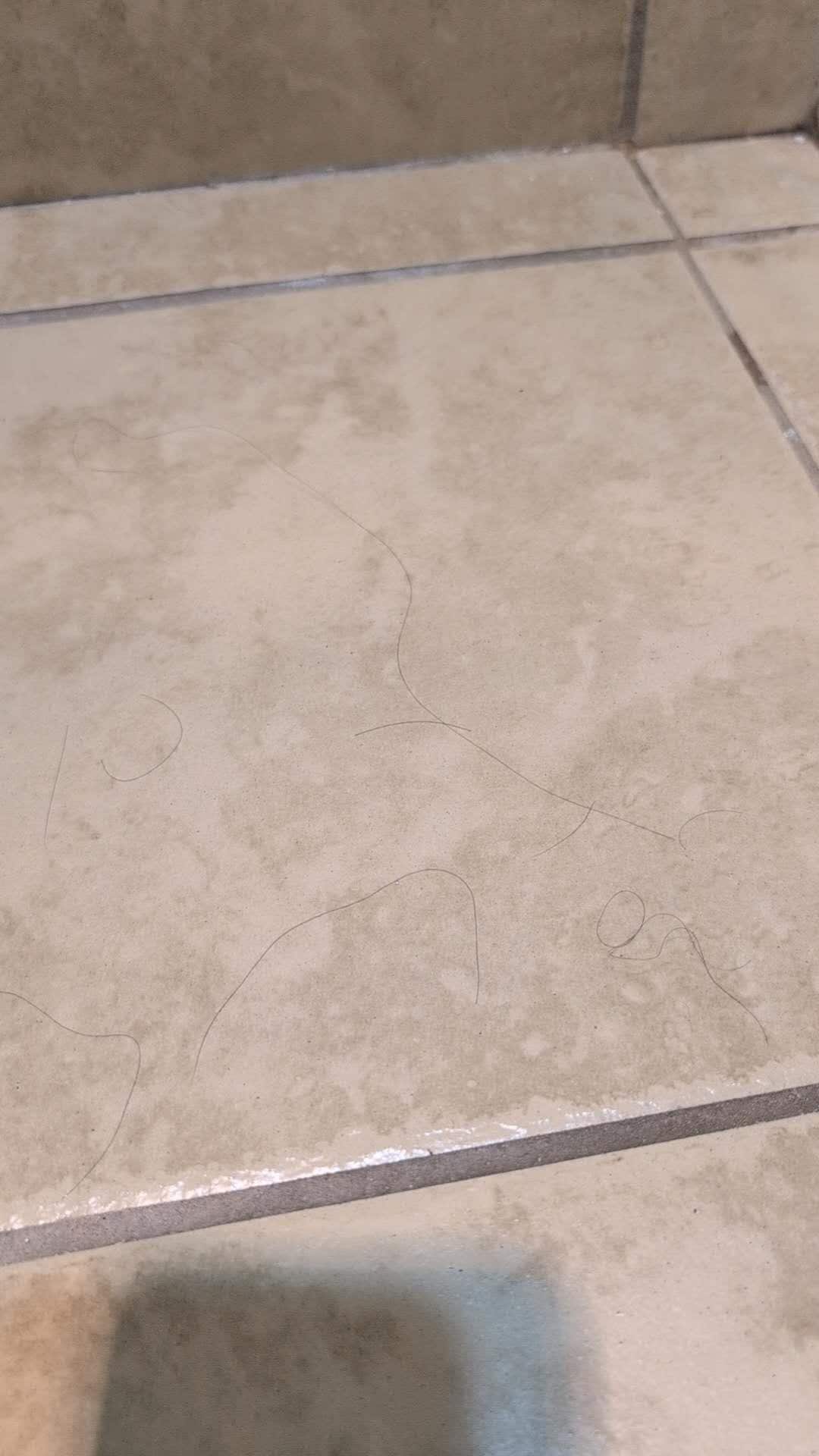 Hair