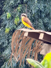 Beautiful wildlife and very tranquil throughout property almost entrancing.