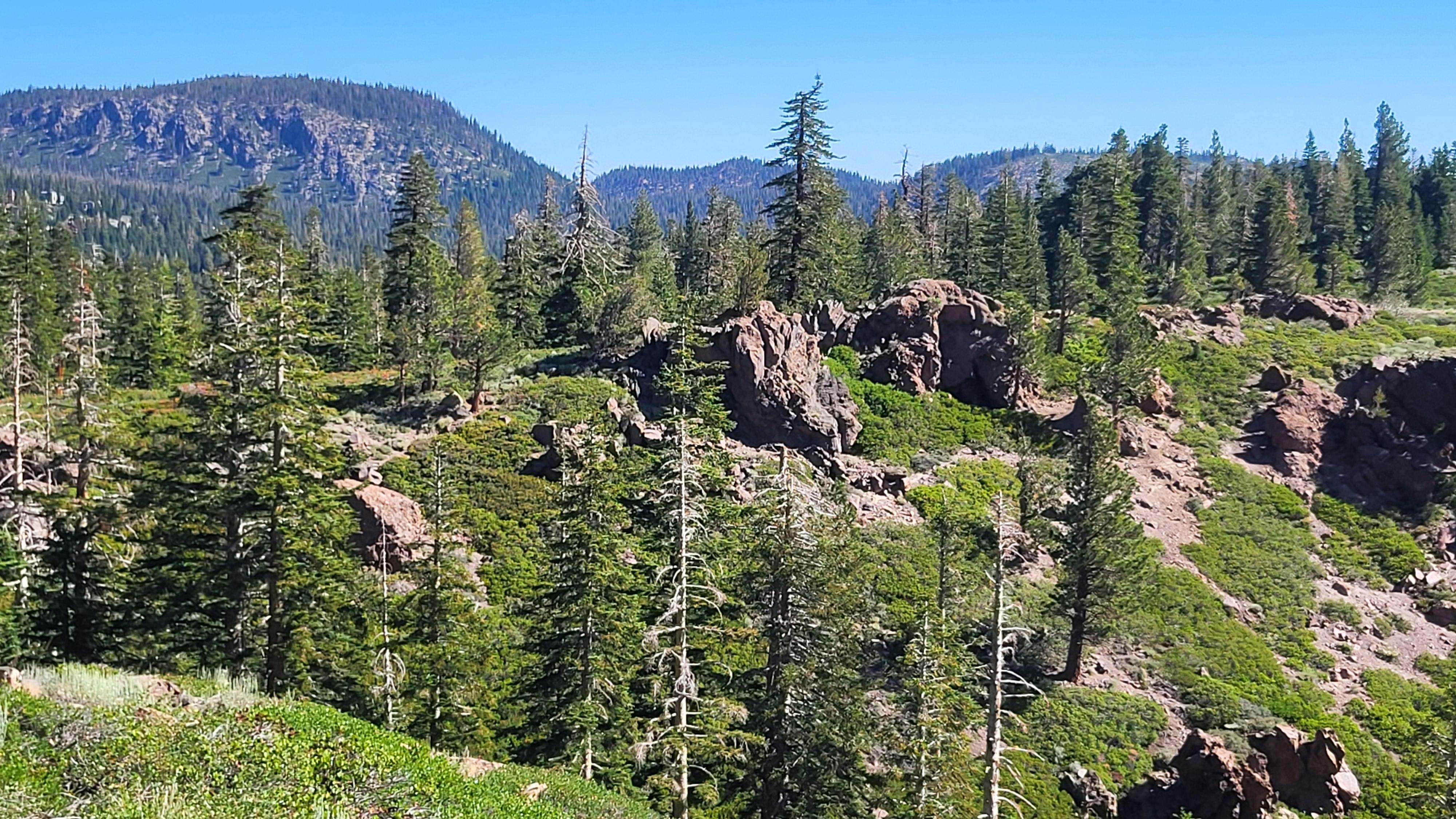 Great Saturday morning