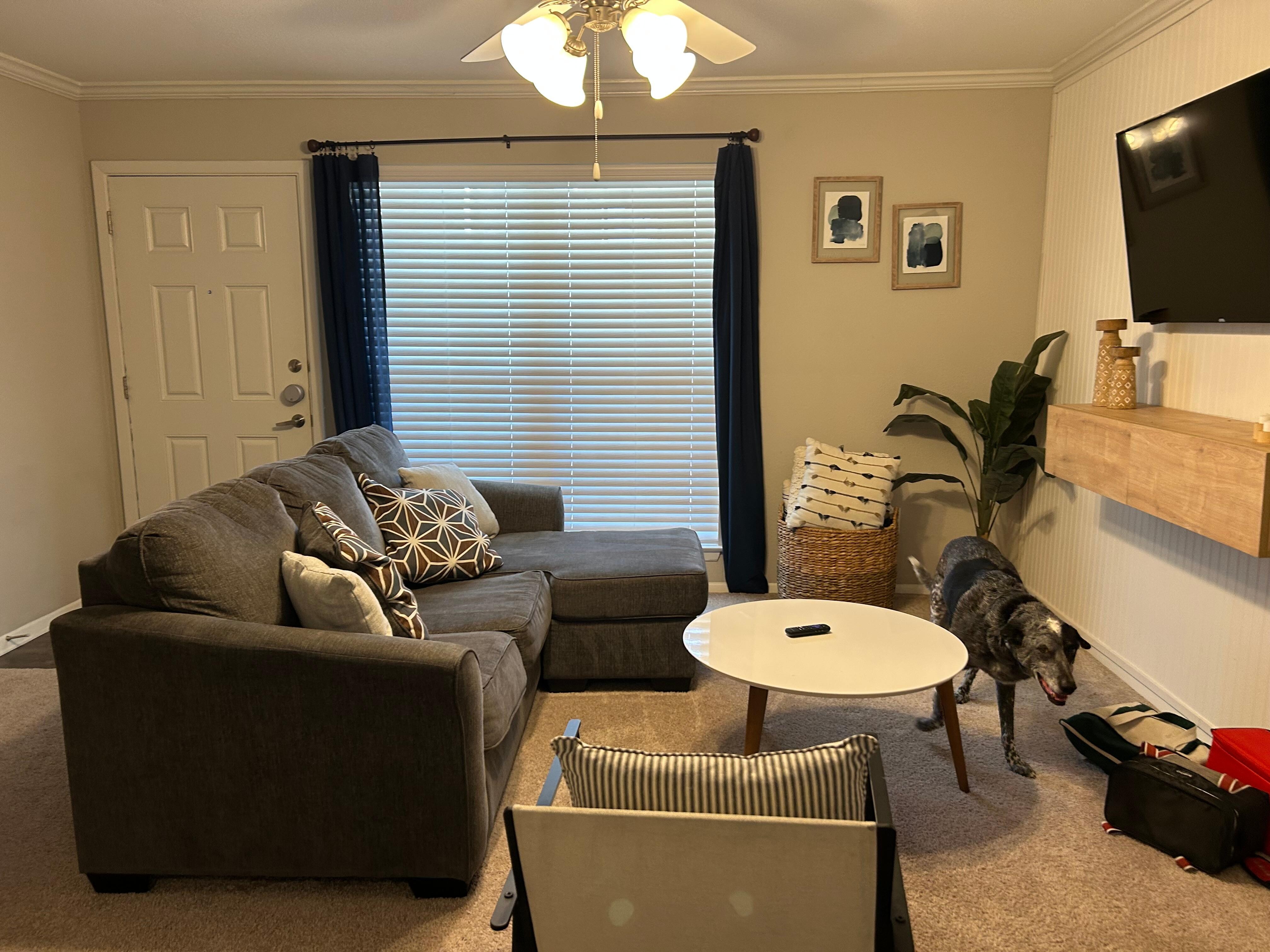 Comfortable seating with LOTS of pillows for the sofa 