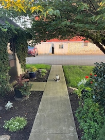 The cat we meet ,thought it was cute.