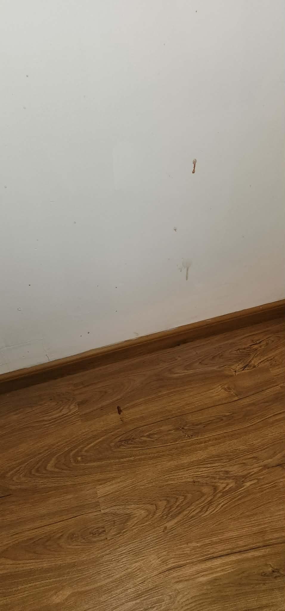 stains on the wall and floor