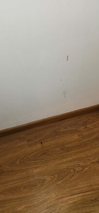 stains on the wall and floor
