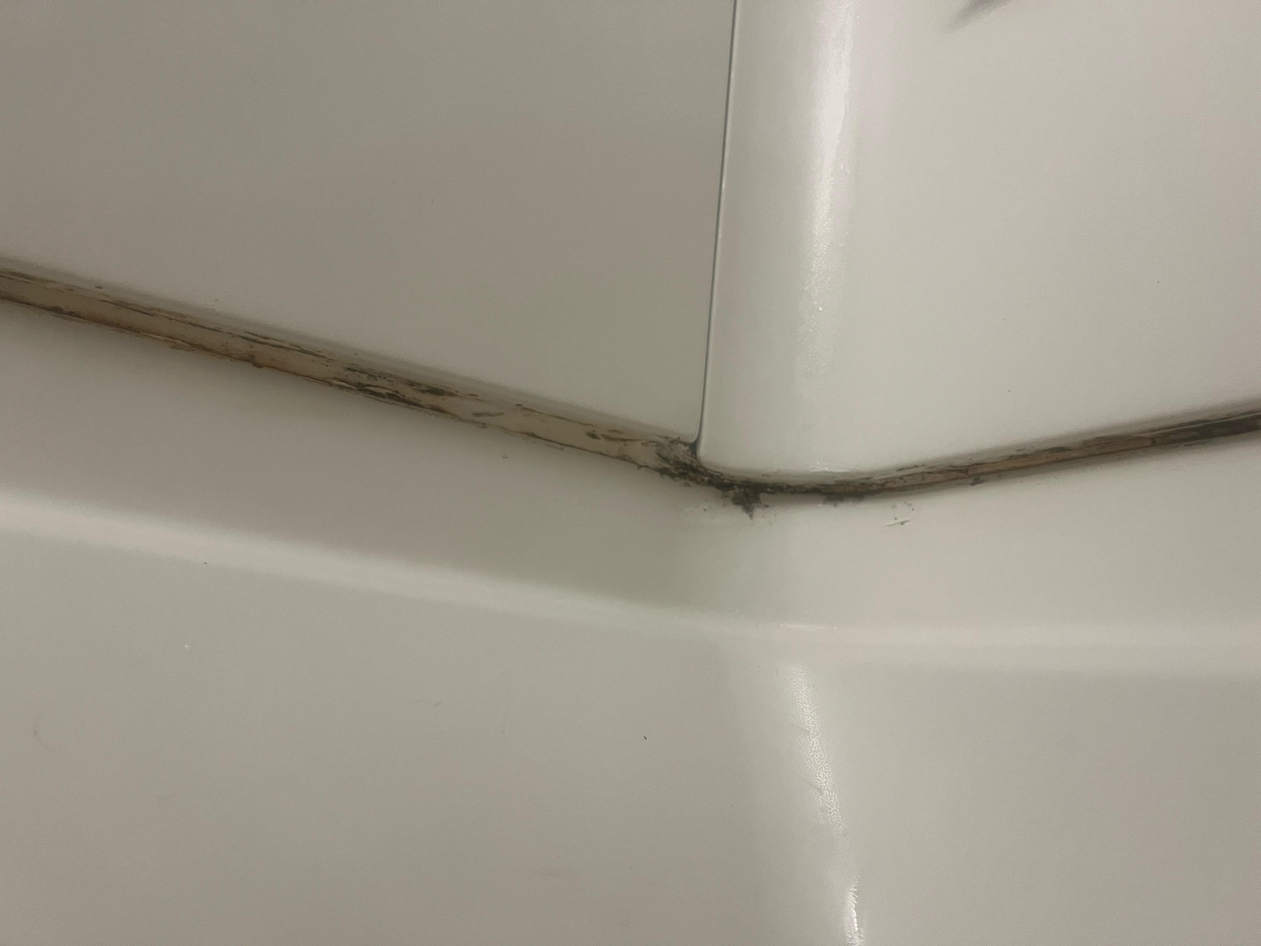 Mold in the shower