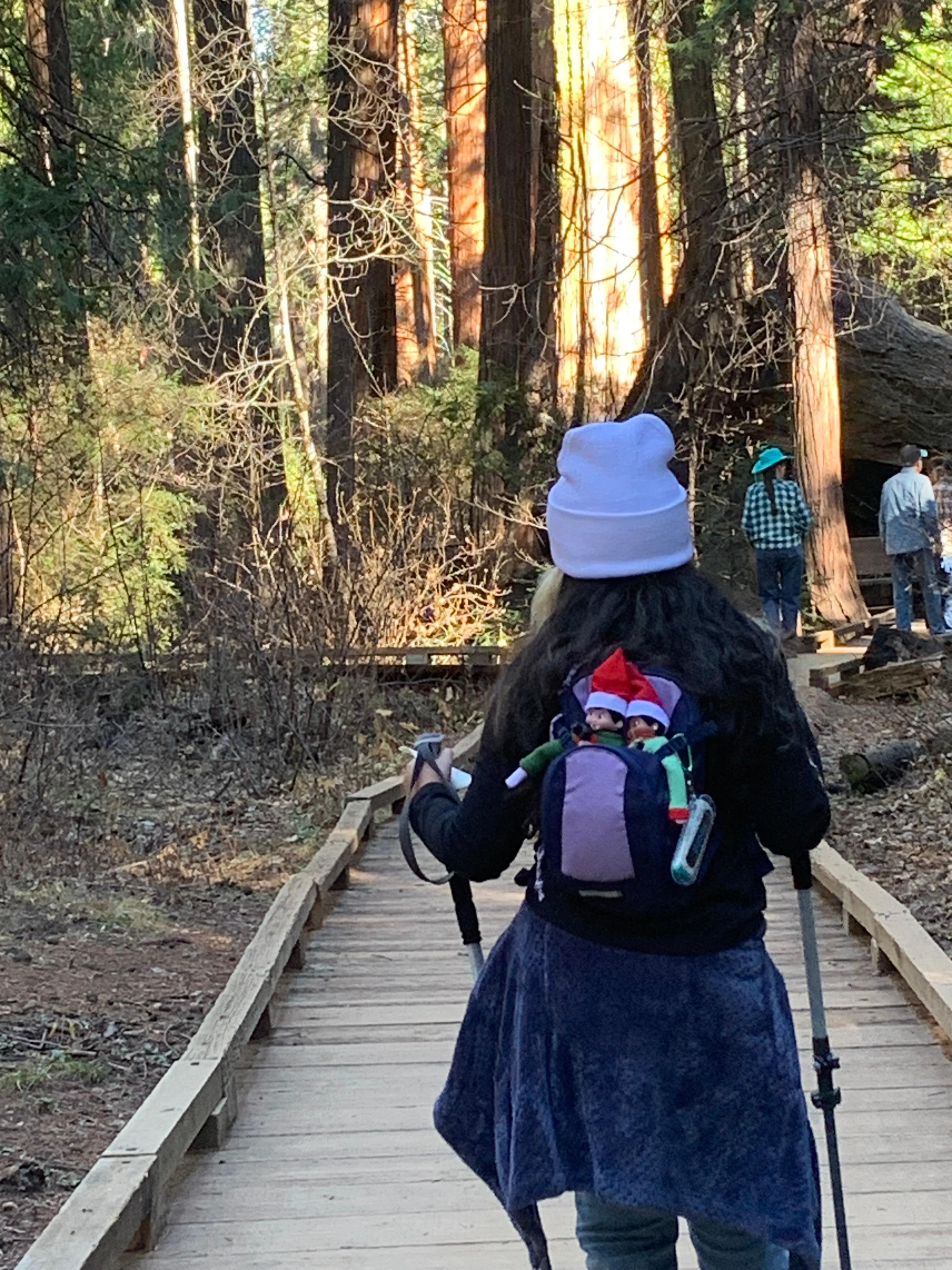 Even the elves got to enjoy the trip.