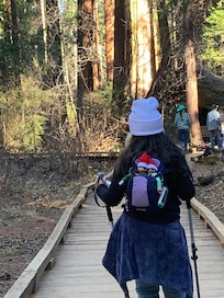 Even the elves got to enjoy the trip.