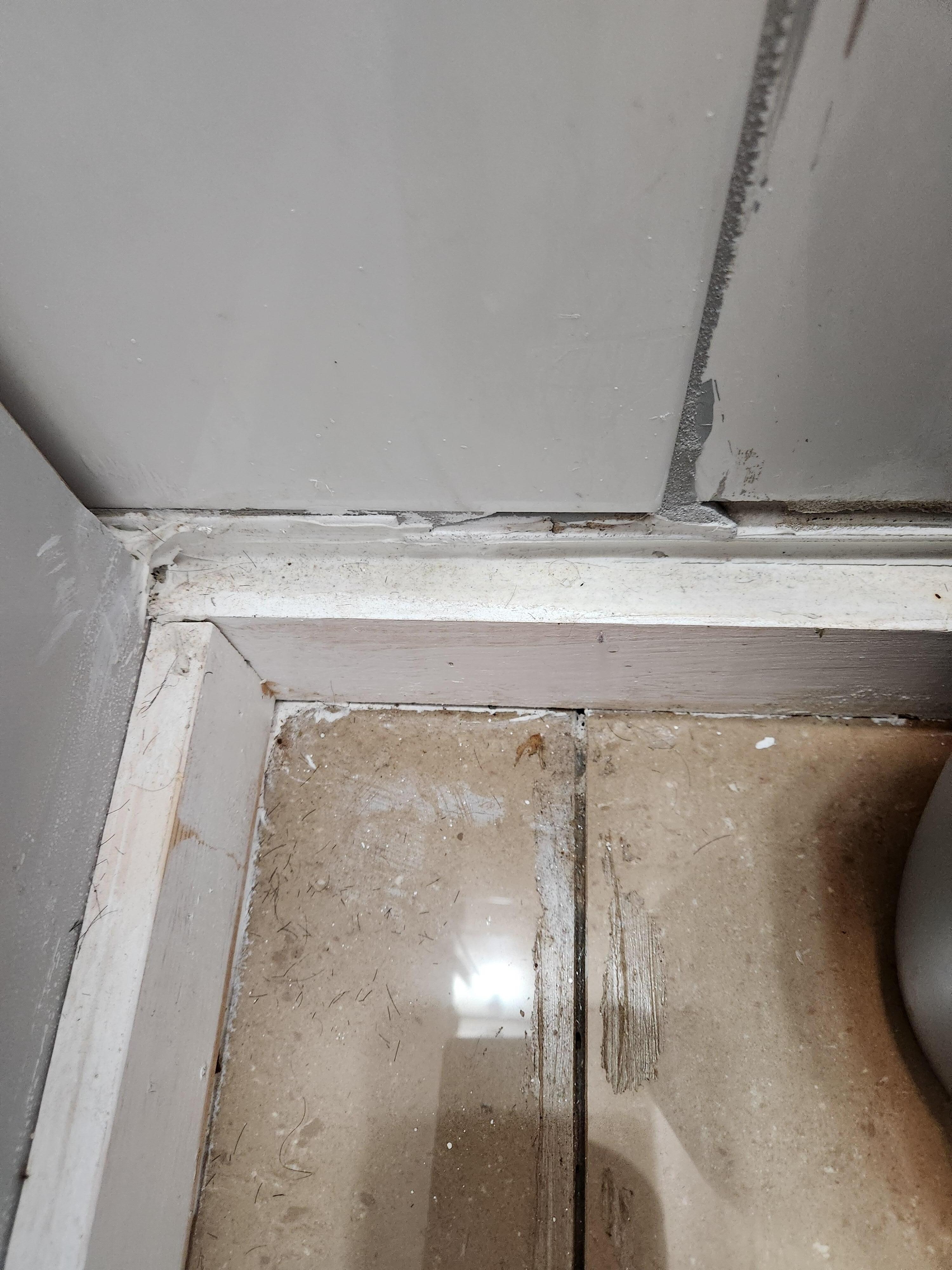 Lots of hair on all baseboards