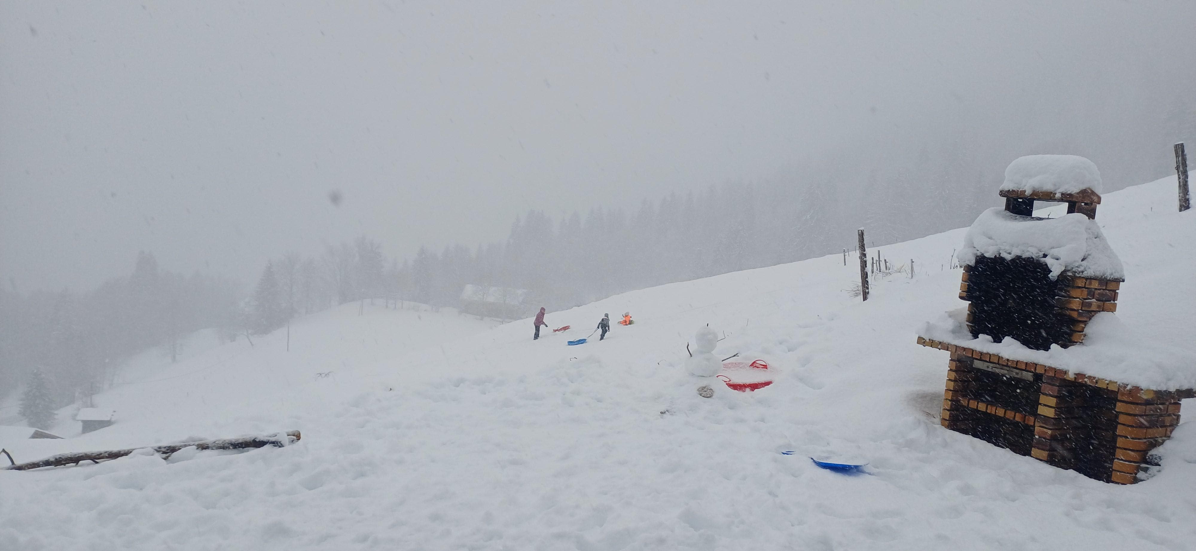 Chalet côté terrasse