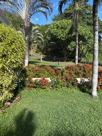 Building 20 landscape