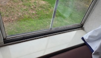Mold in the window seals
