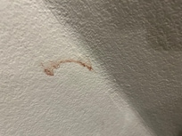 Blood on the wall