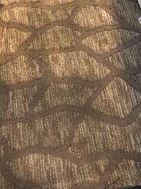 Filthy stinky carpet