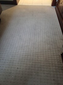 This is the rug in our room, between the bed and the desk area.