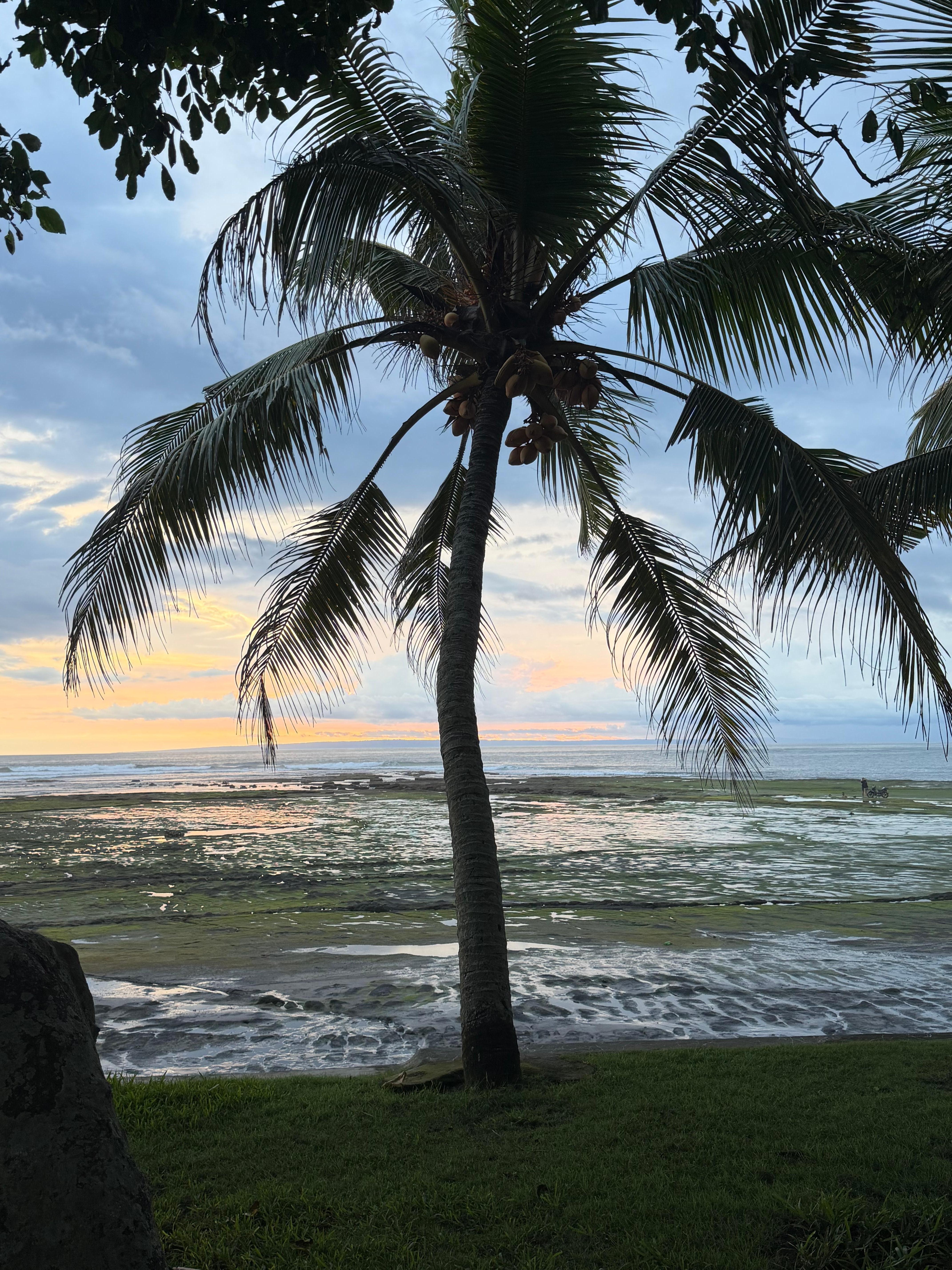 Beautiful sunset view 