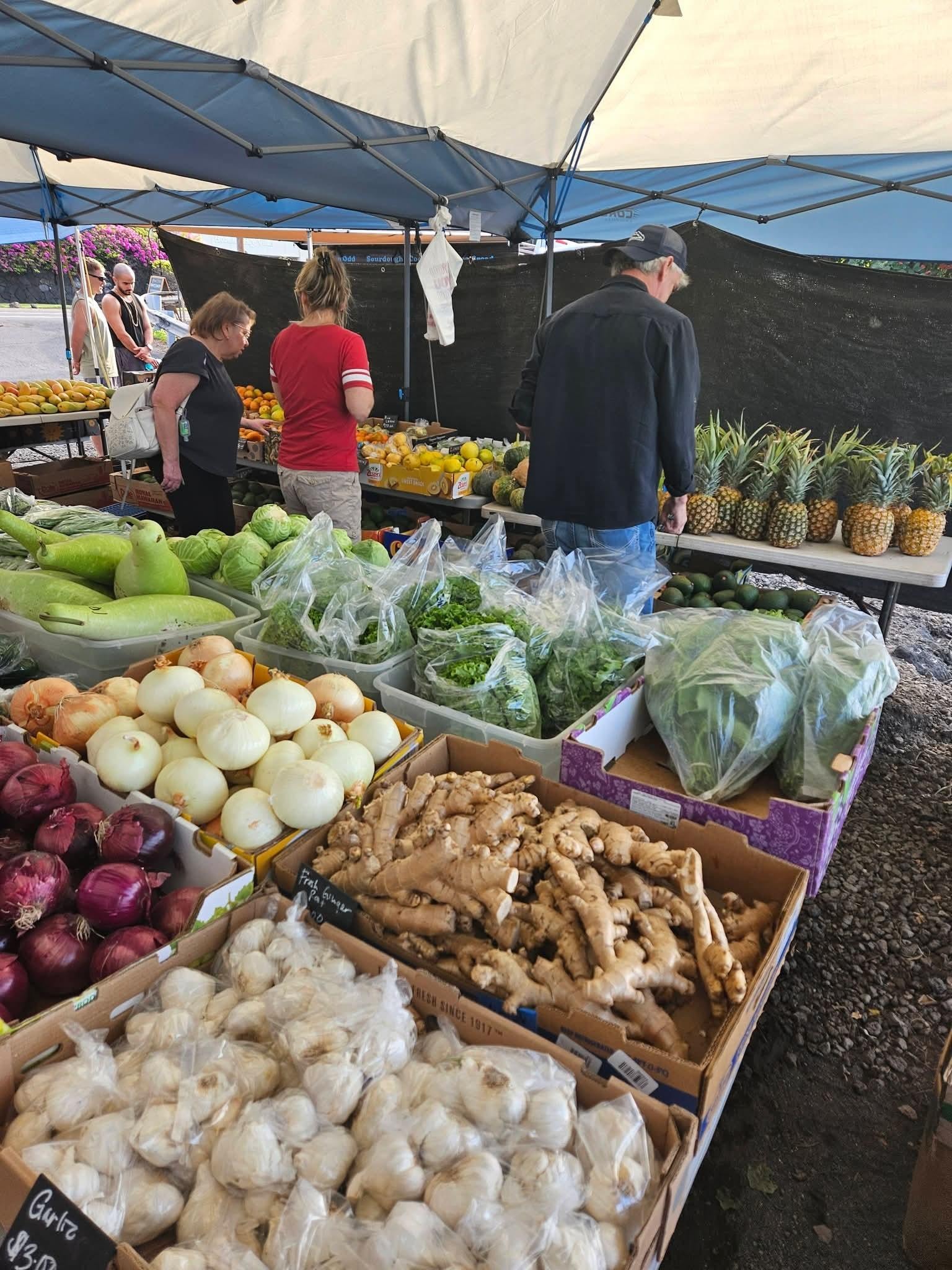 Farmers market.... Mangos were to die for!