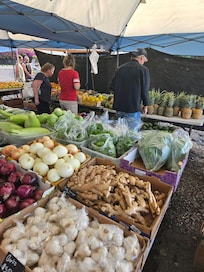 Farmers market.... Mangos were to die for!