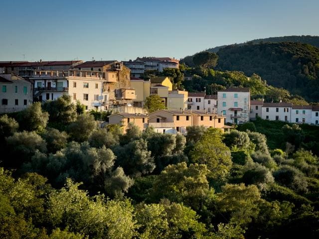 Caldana