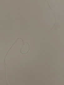Hair on shower wall upon arrival