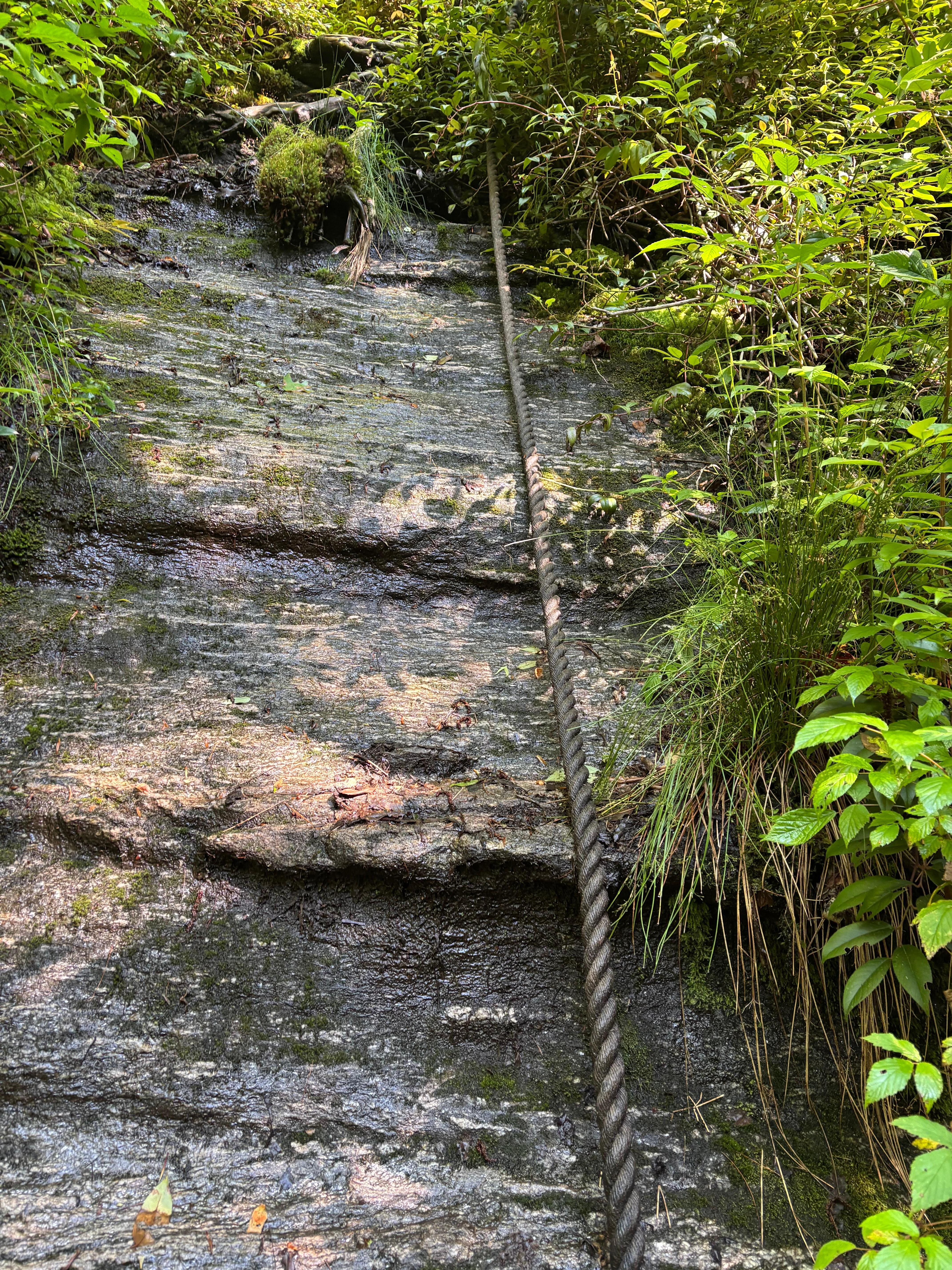 This was part of the hike we took to see one of the waterfalls. 