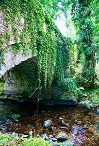 Bridge in the National Park