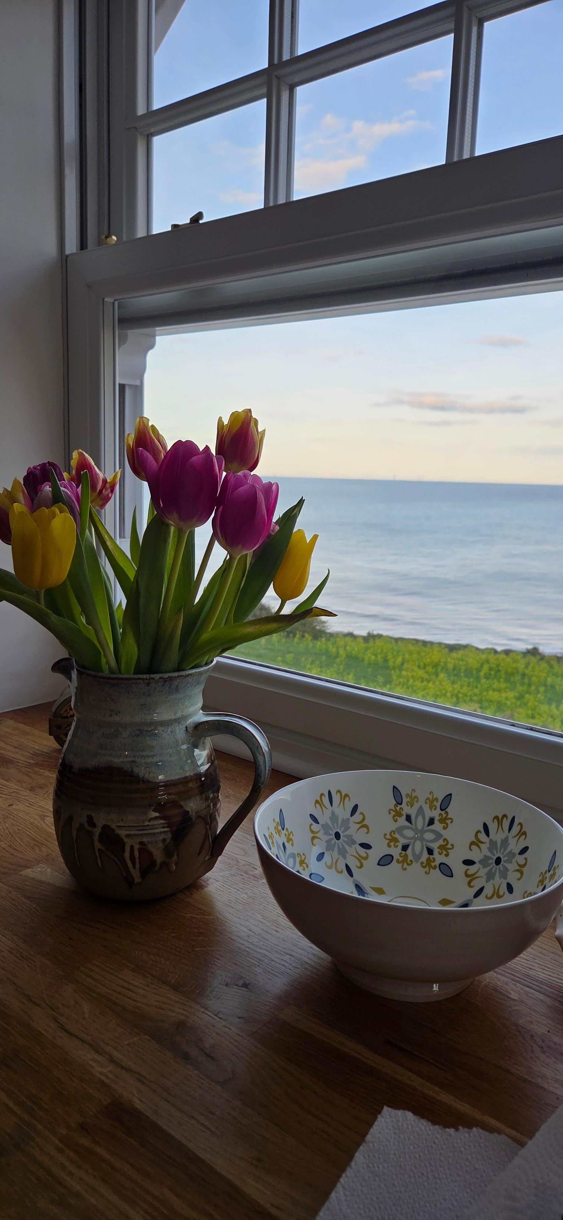 View from kitchen window. 