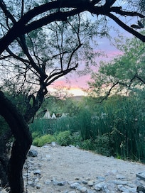 Beautiful sunset