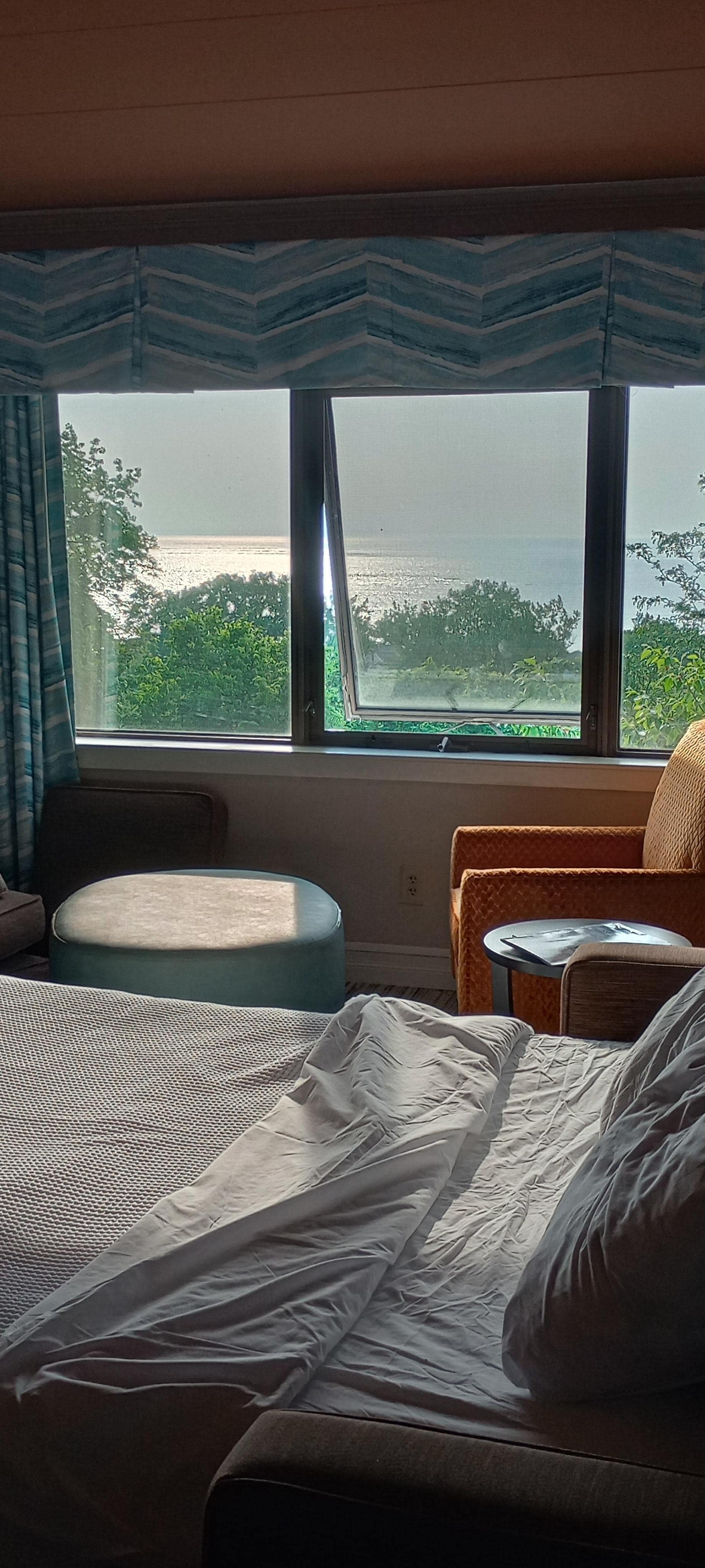 View of lake pull out sofa bed for grandchild. Picture doesn't do it justice.