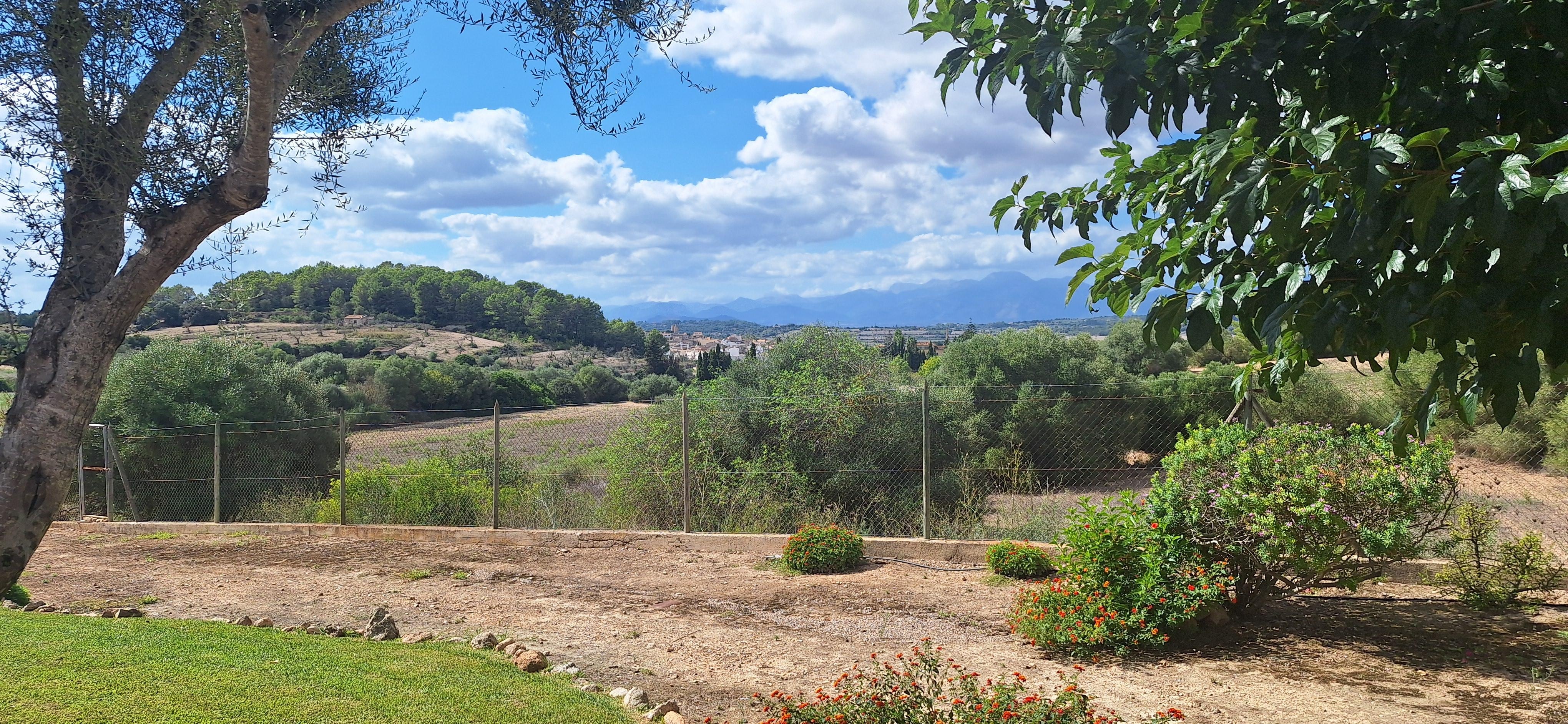 Blick von der Terrasse 