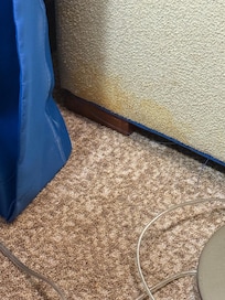 dog urine all over sofa. this is just one spot