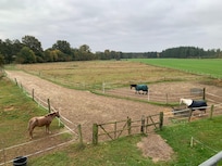Ausblick vom Wohnzimmer