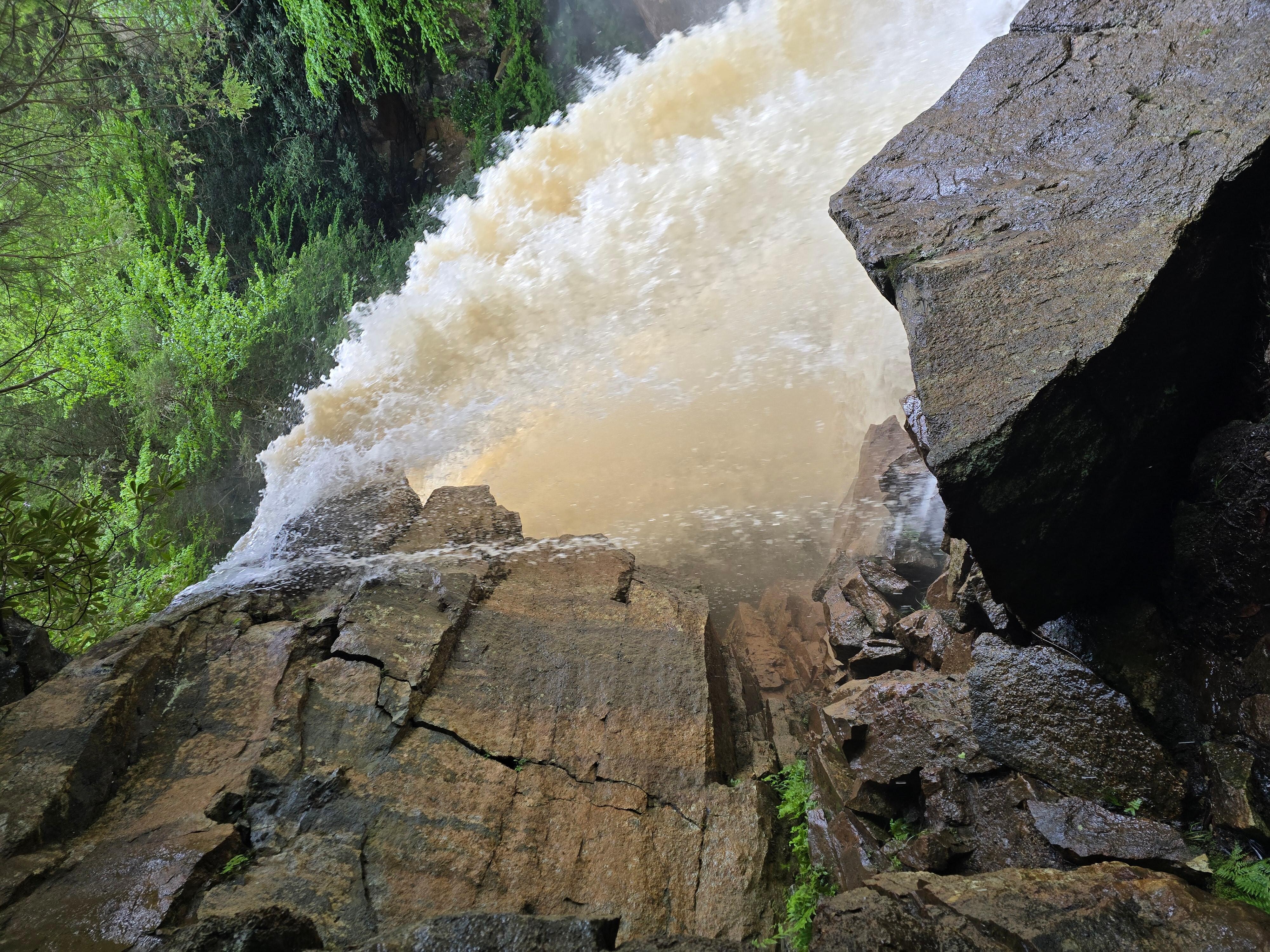 Douglas falls