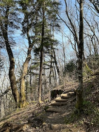 Trail near the Woodfin Cascades Overlook on the Blue Ridge Parkway.