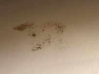 Mold on bathroom walls/ceilings