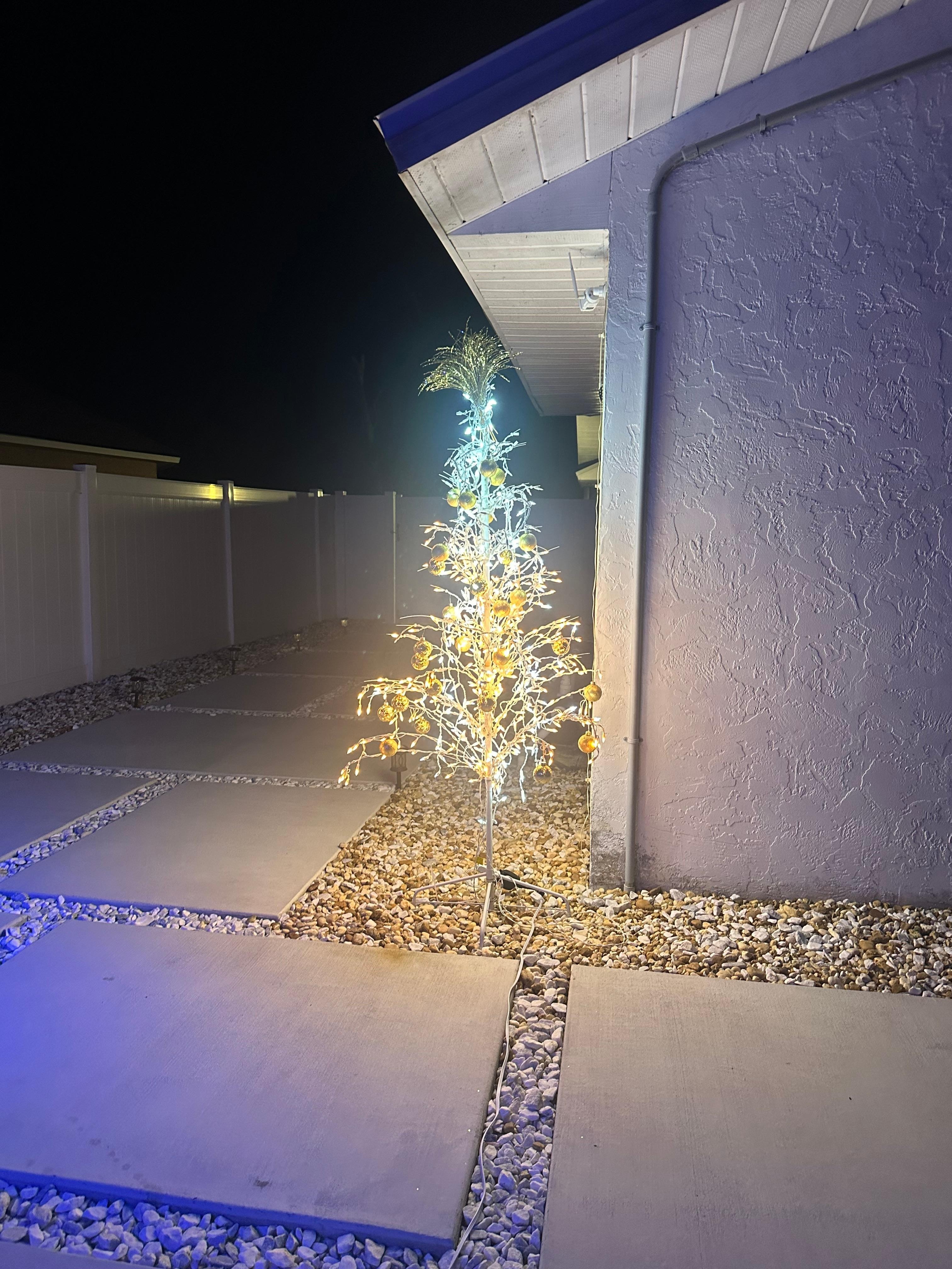 Loved the little Christmas tree added since we were there over Christmas!