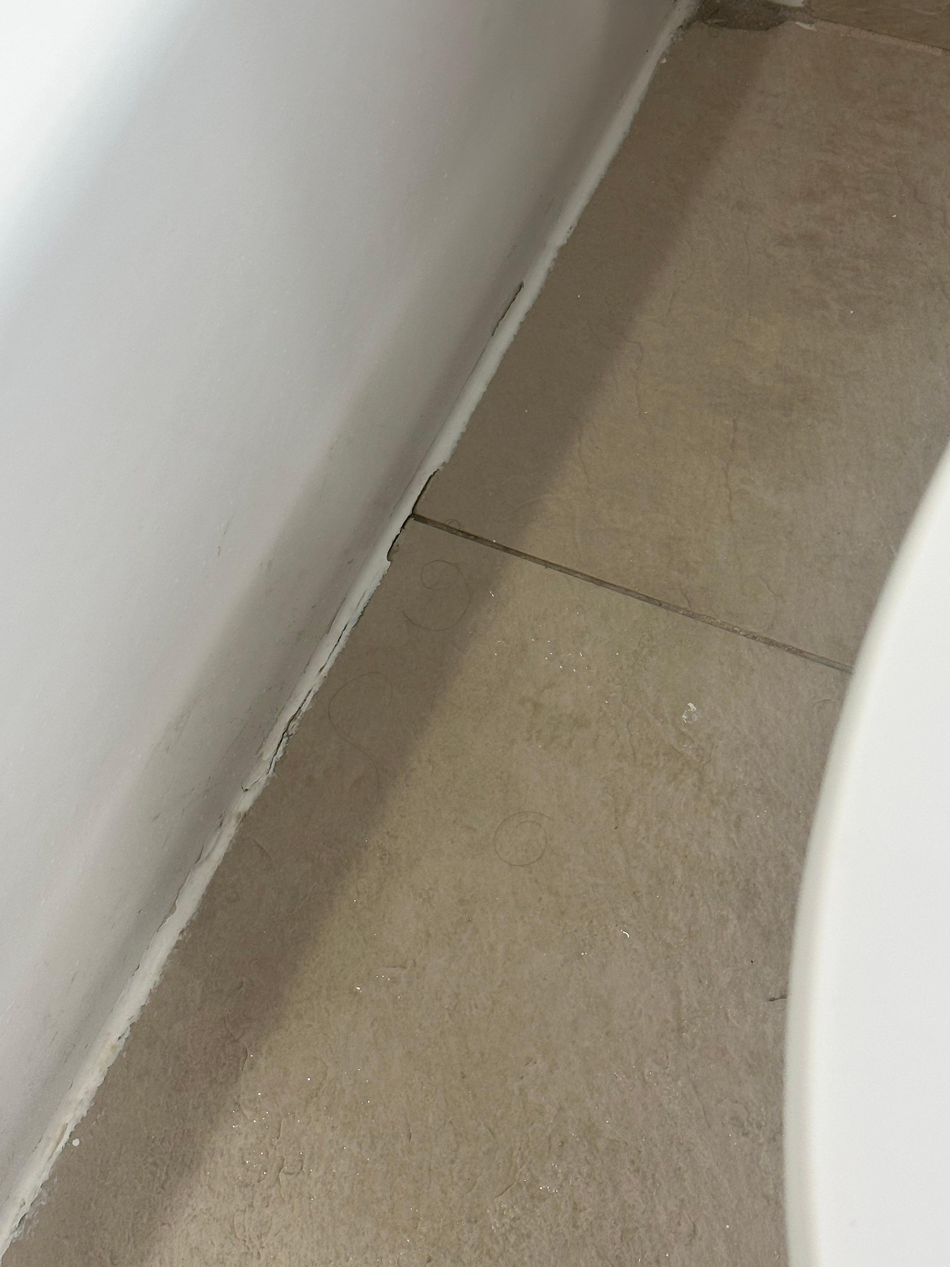 Water that was dripping from ceiling 