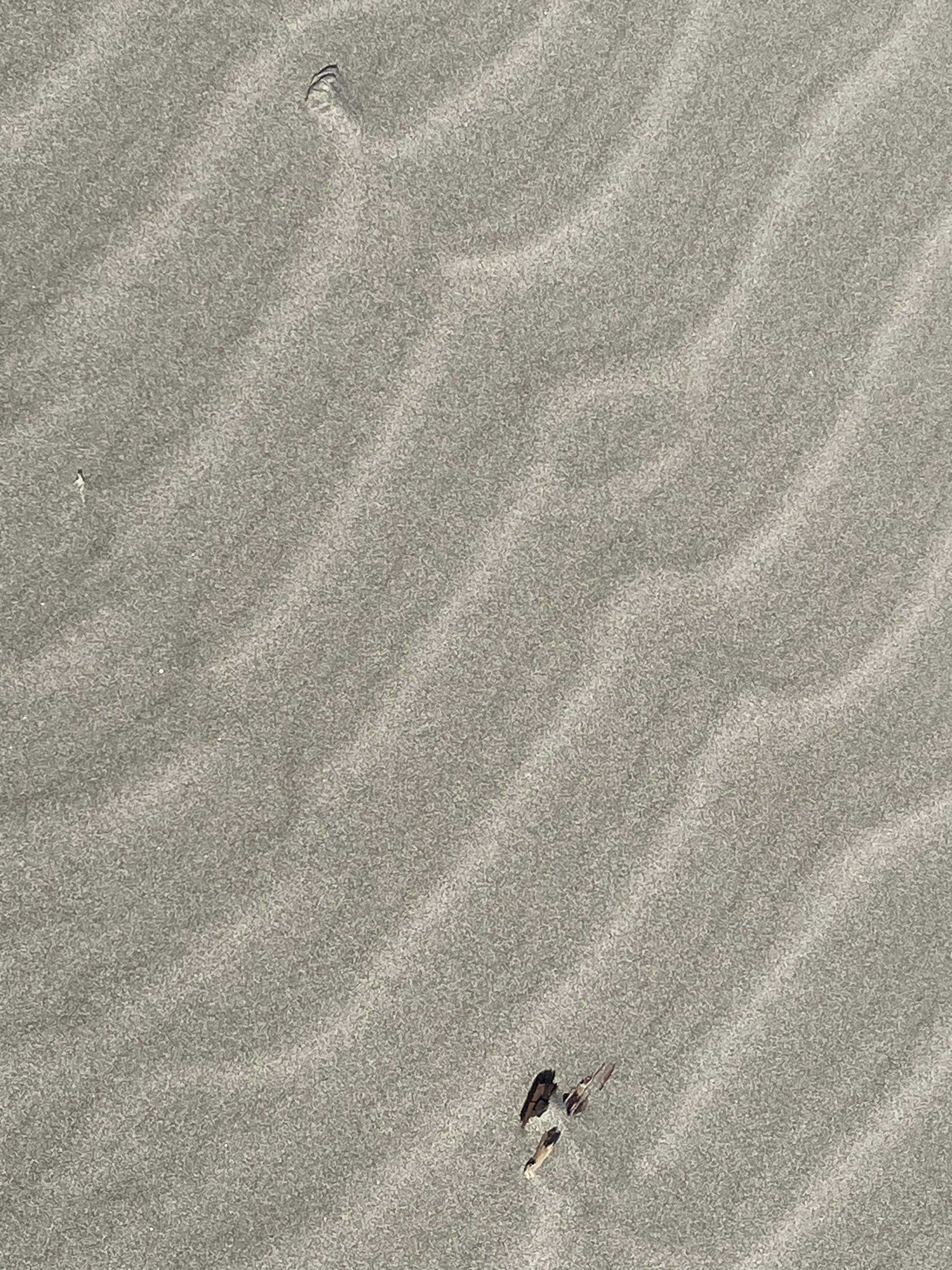Closeup - Local beach