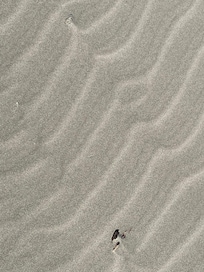 Closeup - Local beach