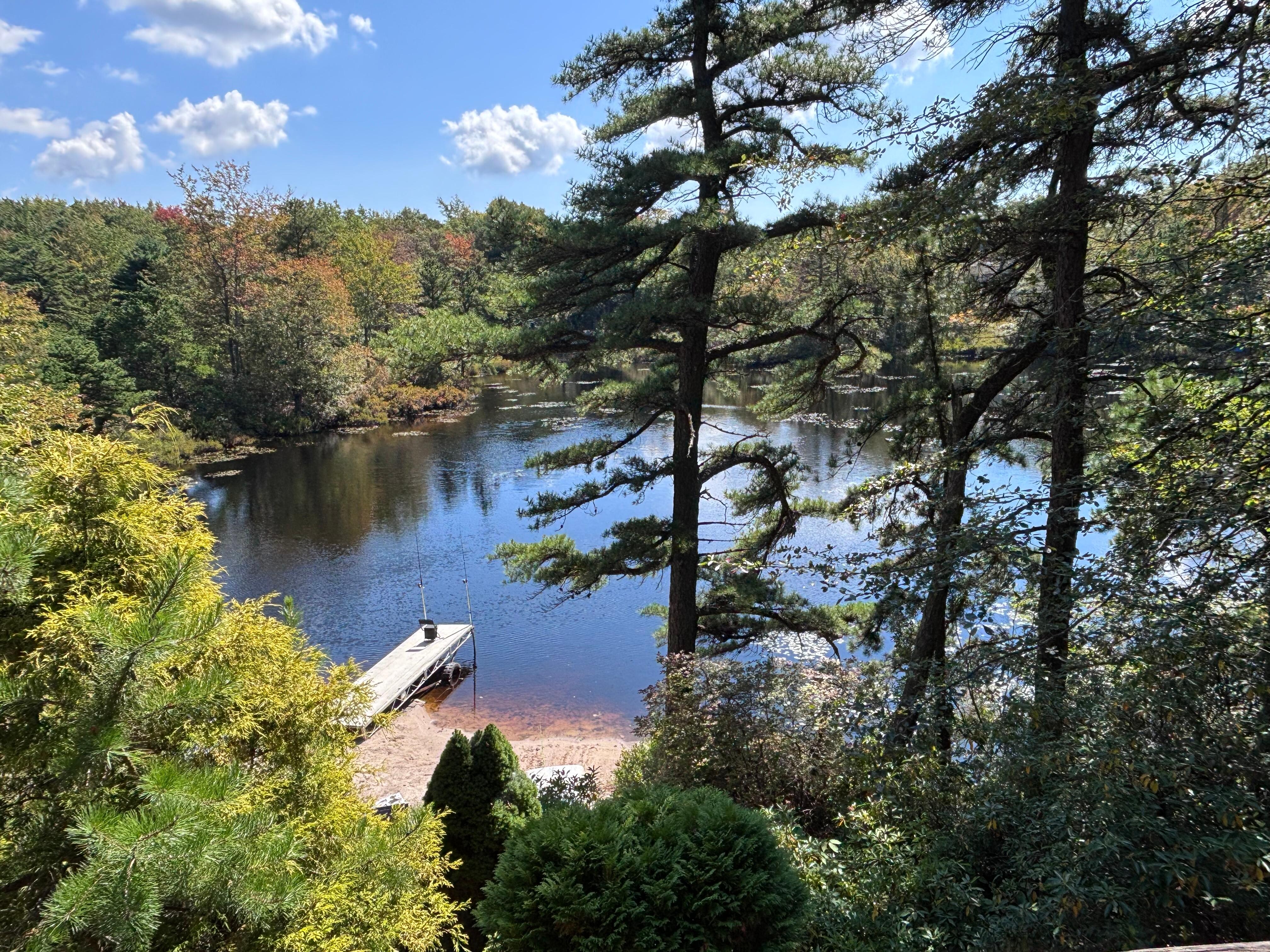 Backyard view off the deck. 