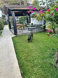 Large courtyard to relax and play with the neighbors dog juanita.