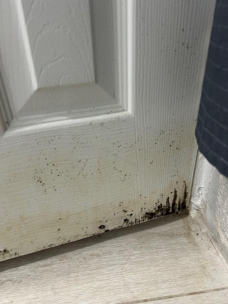 Painted over black mold bathroom door