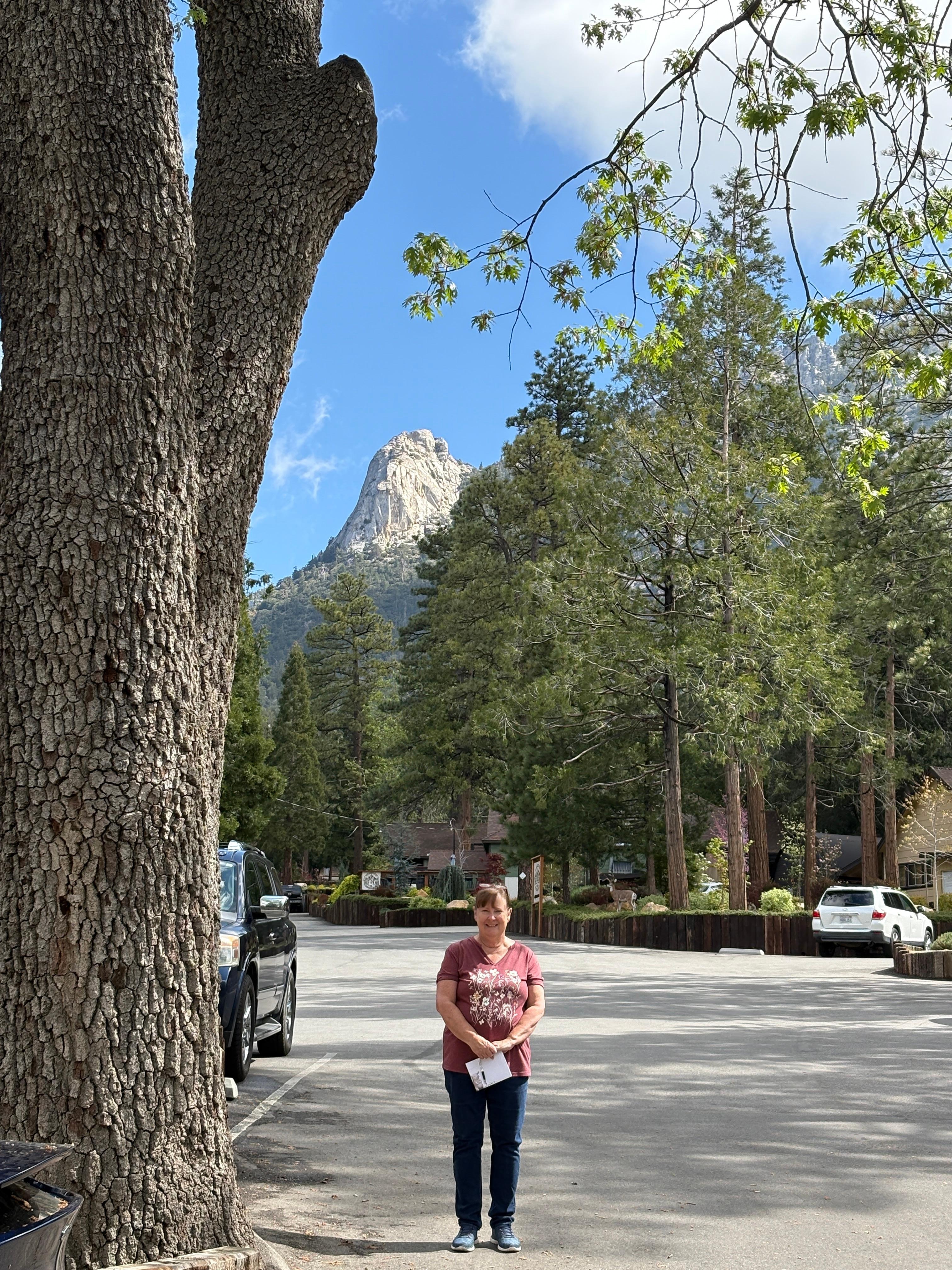 Beautiful mountain scenery around the property.