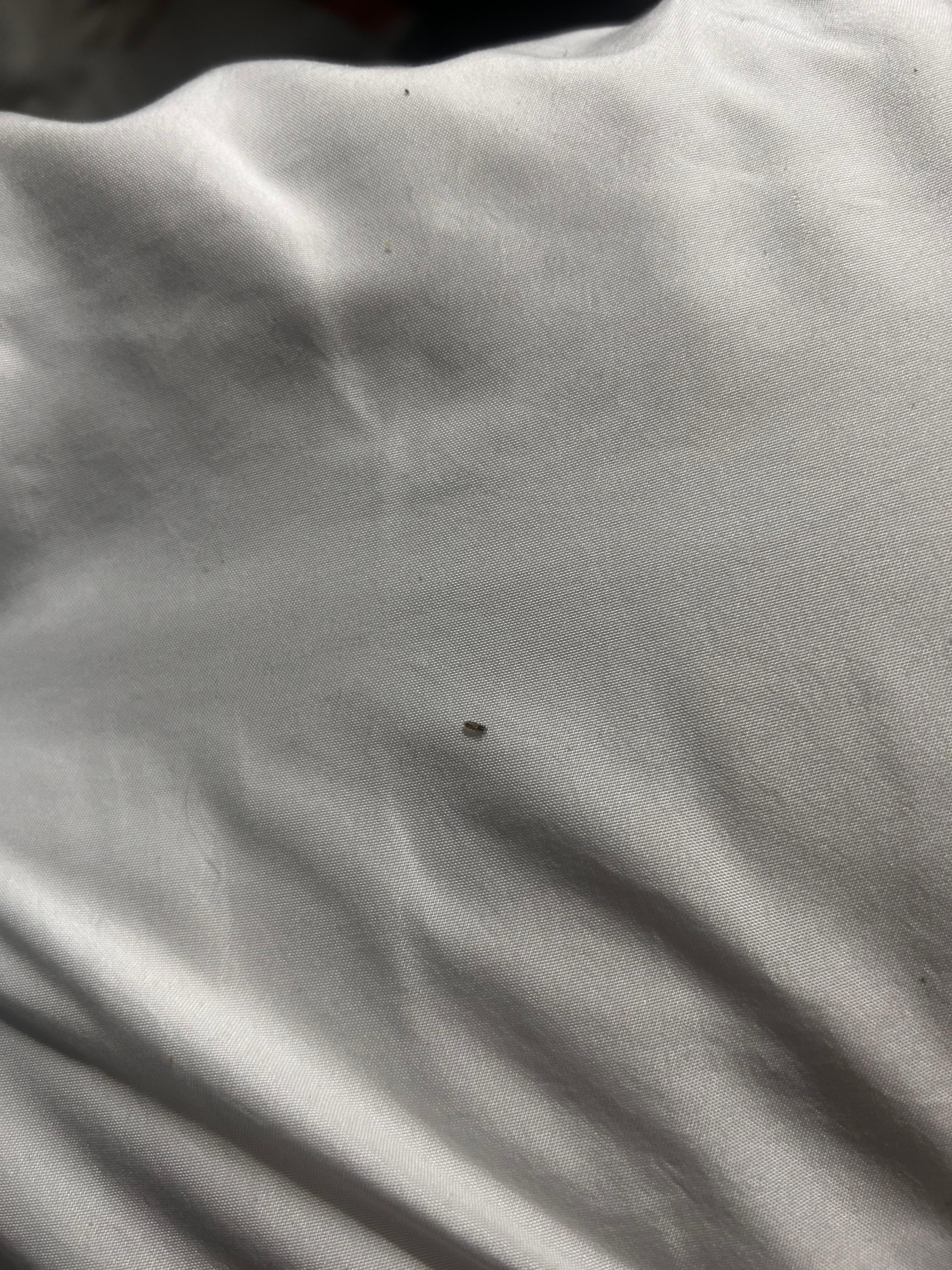 Little bugs we kept finding 