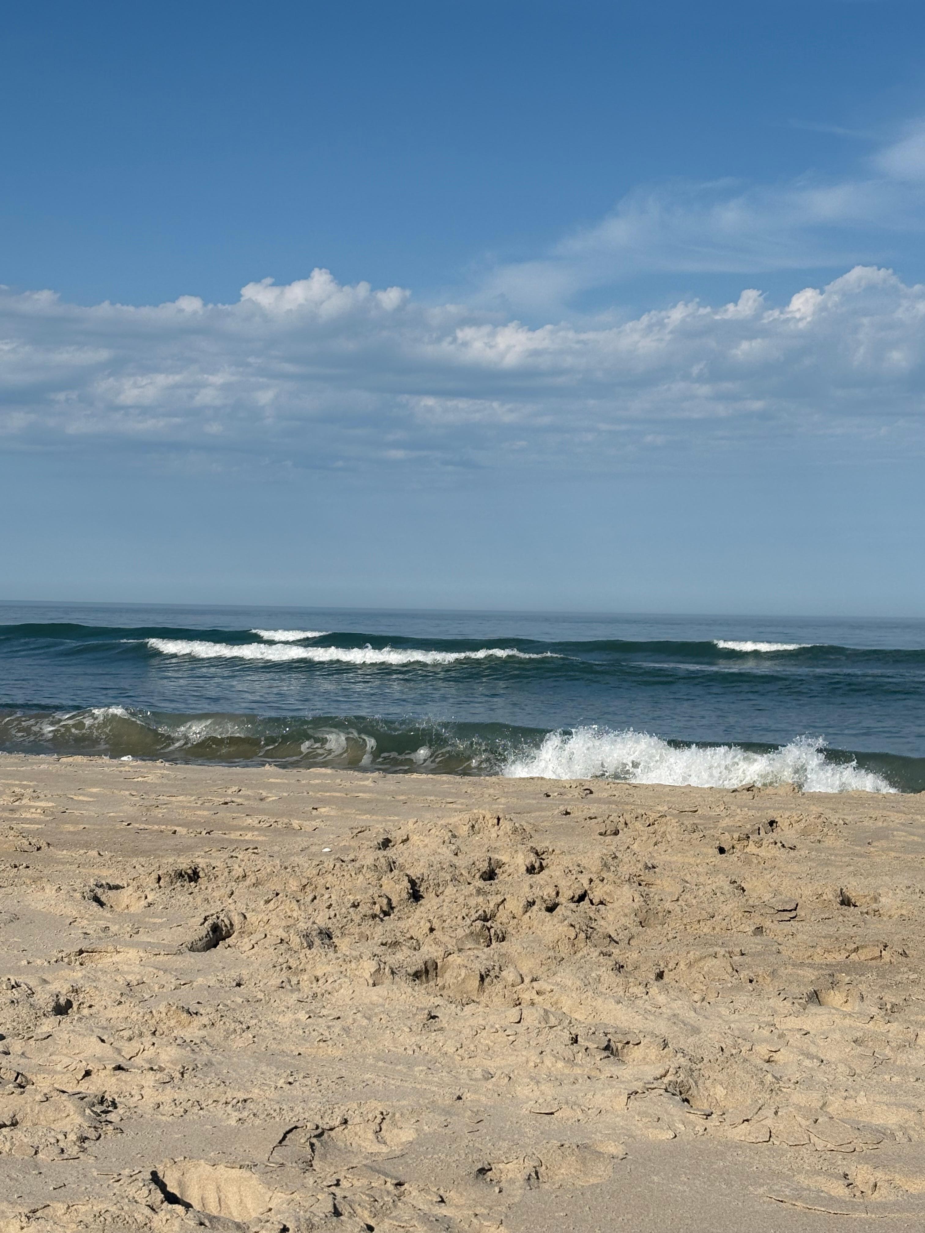 Gorgeous beach only steps away from house. 